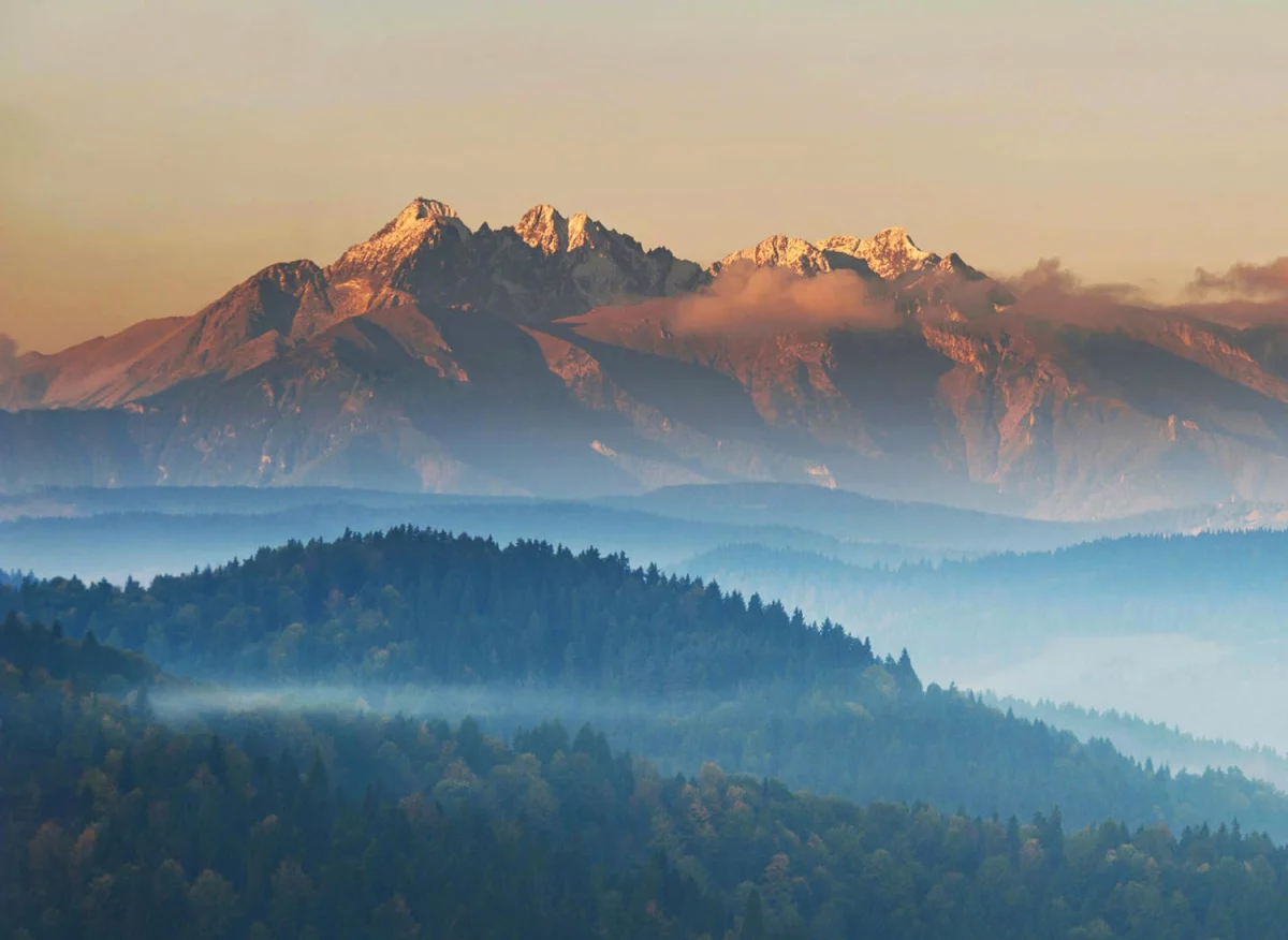 Jak wybrać catering dietetyczny: 7 kryteriów (kalorie, makro, menu, alergen, dostawy, cena, opinie) + checklistę przed pierwszym zamówieniem.